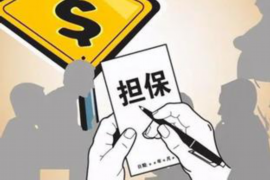 白下贷款清欠服务