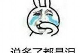 白下债务清欠服务